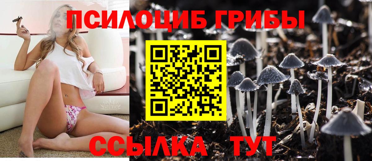 Псилоцибиновые грибы Psilocybine cubensis  Вход с VPN  хочу   Чехов 